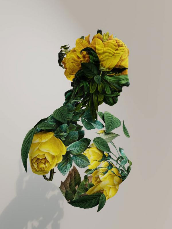 imagem ilustrativa de escultura, metade mulher metade flores